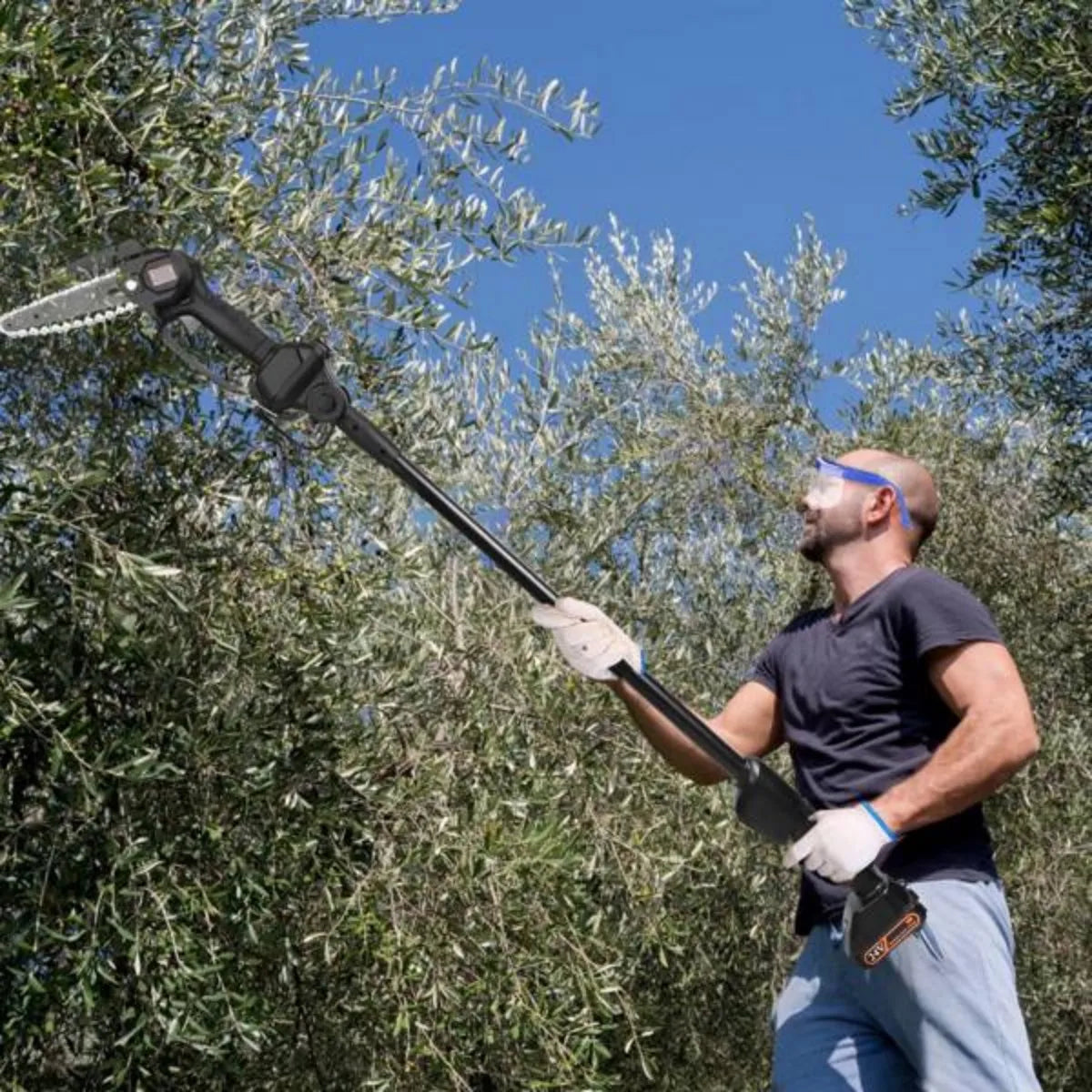CrestiCut 2-in-1 Cordless Pole Saw & Mini Chainsaw for Trees