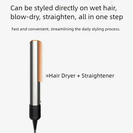 DryeeAir 2-in-1 Wet-to-Dry Hair Dryer and Straightener