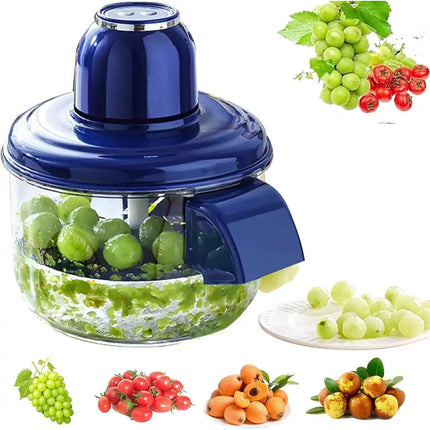 DeskiNax Automatic Peeling Machine for Grapes and Garlic