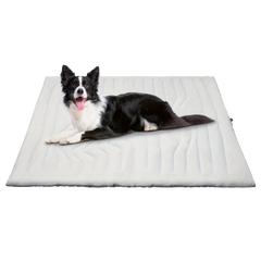 Collection image for: Pet Health Accessories