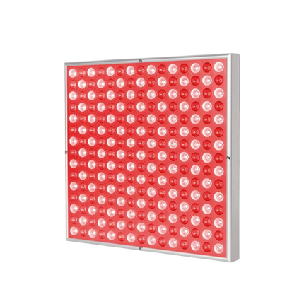 RubyVoxe